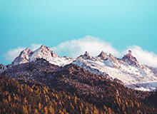 阿兰：墨尔本胜利不易对付 希望球队发挥真实水平